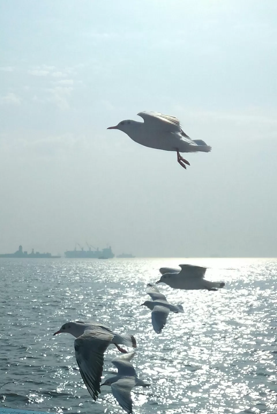 Photo of Arabian Sea by Abhishek Khamari