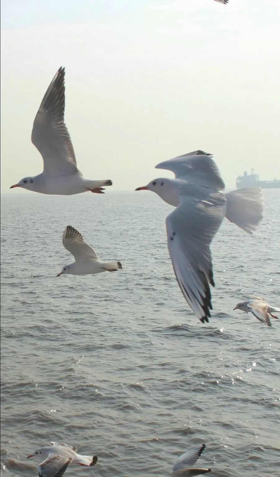Photo of Arabian Sea by Abhishek Khamari
