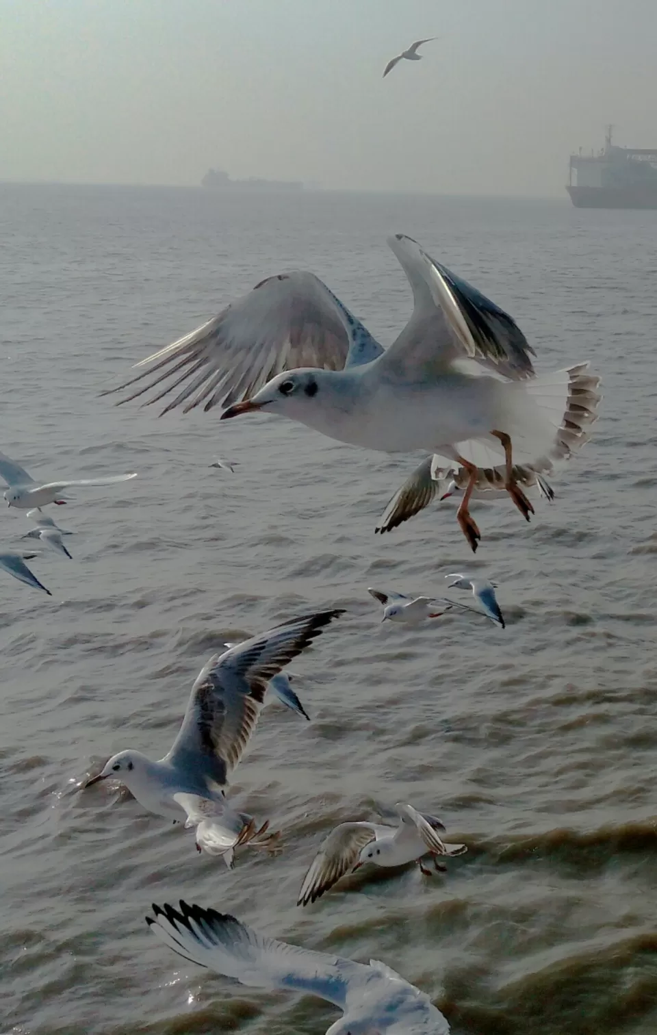 Photo of Arabian Sea by Abhishek Khamari