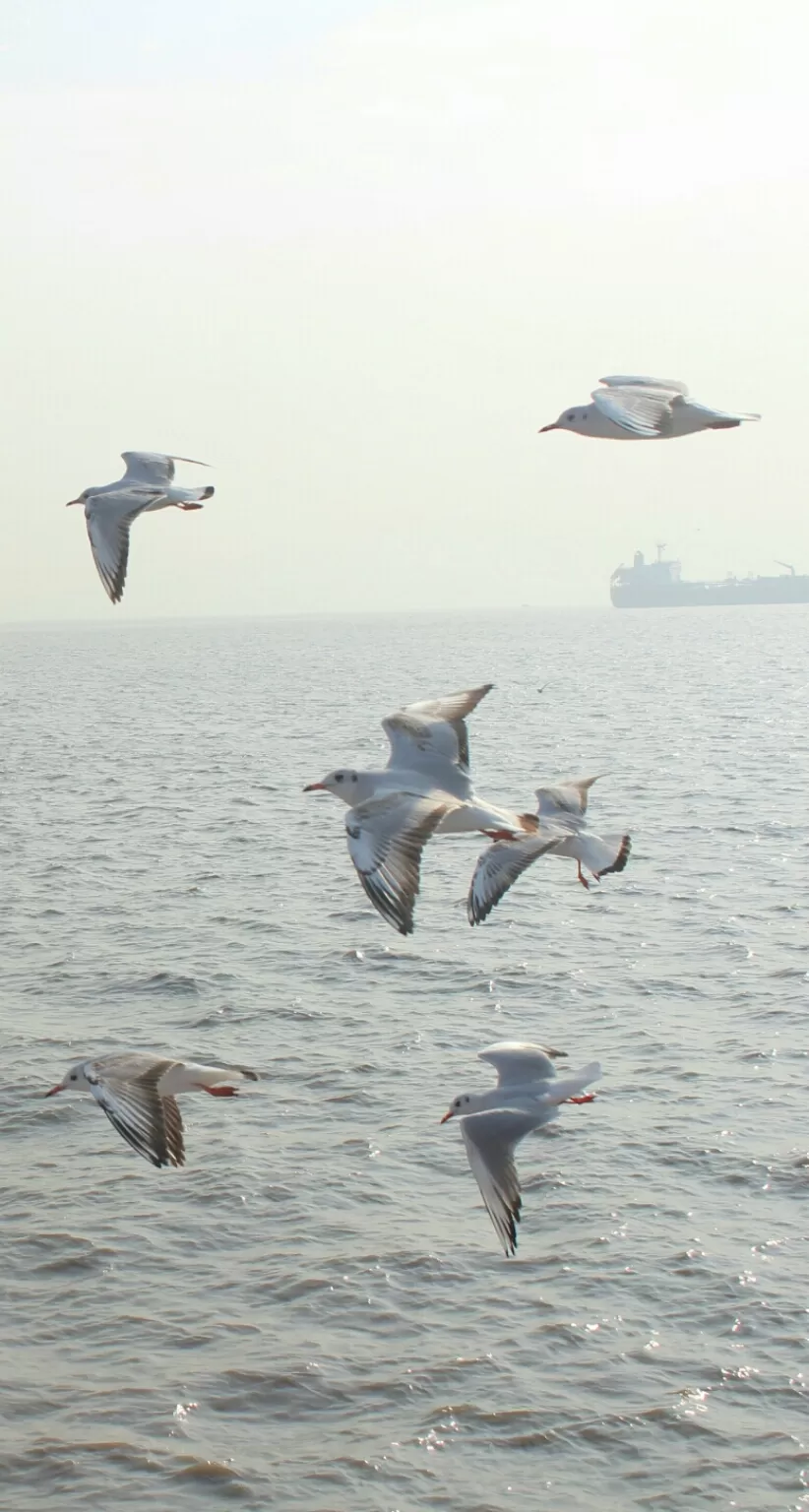 Photo of Arabian Sea by Abhishek Khamari
