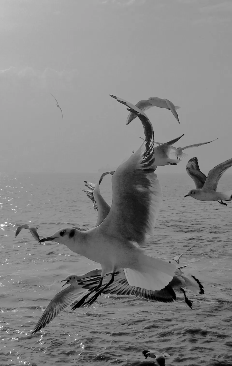 Photo of Arabian Sea by Abhishek Khamari