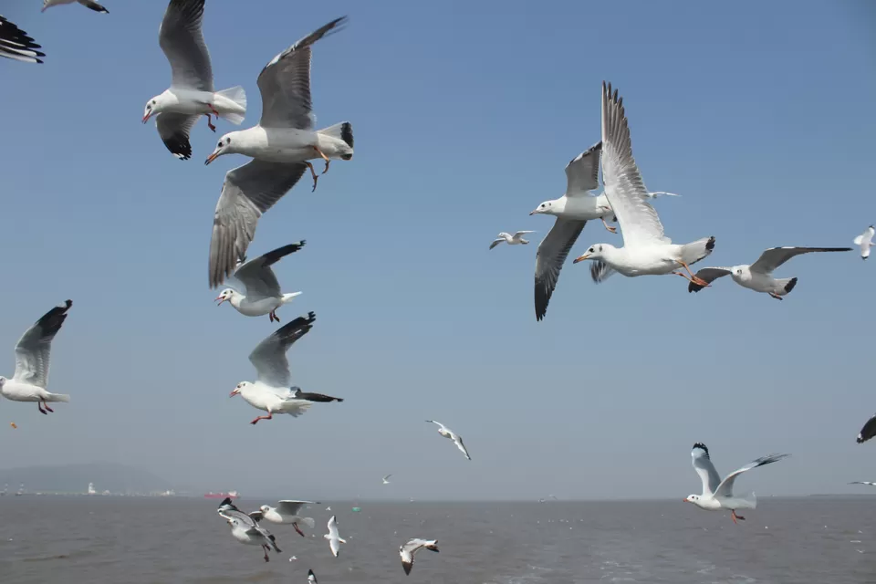 Photo of Arabian Sea by Abhishek Khamari