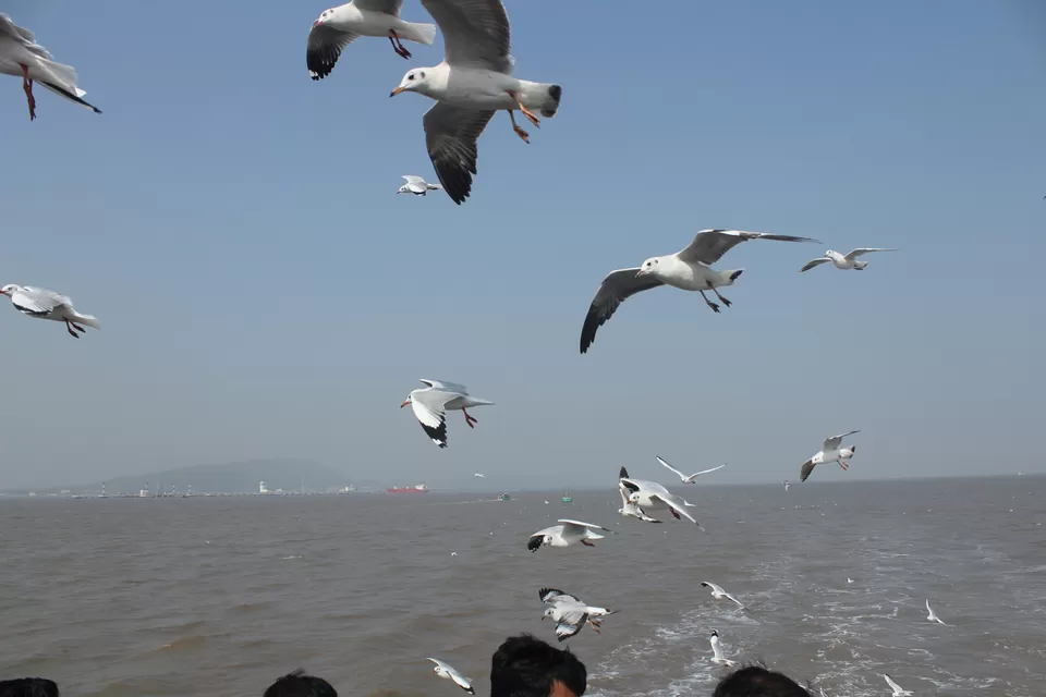 Photo of Arabian Sea by Abhishek Khamari