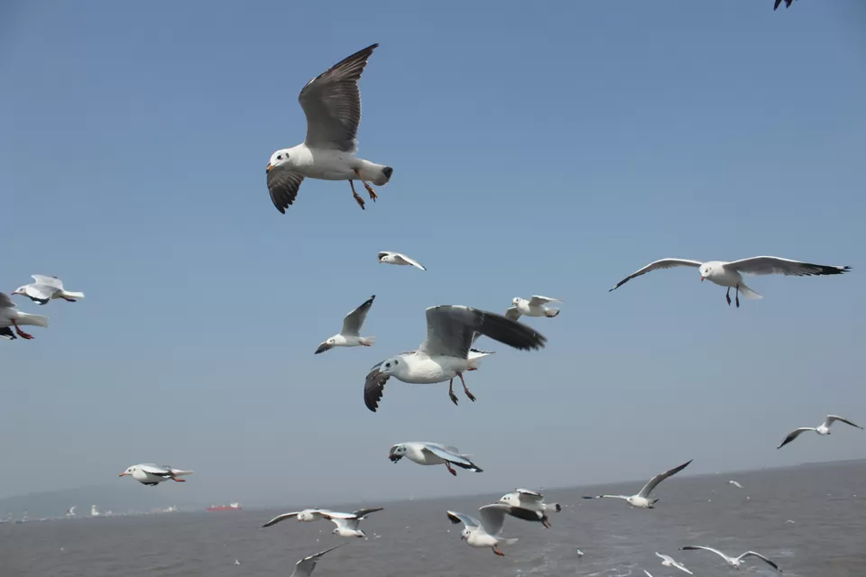 Photo of Arabian Sea by Abhishek Khamari