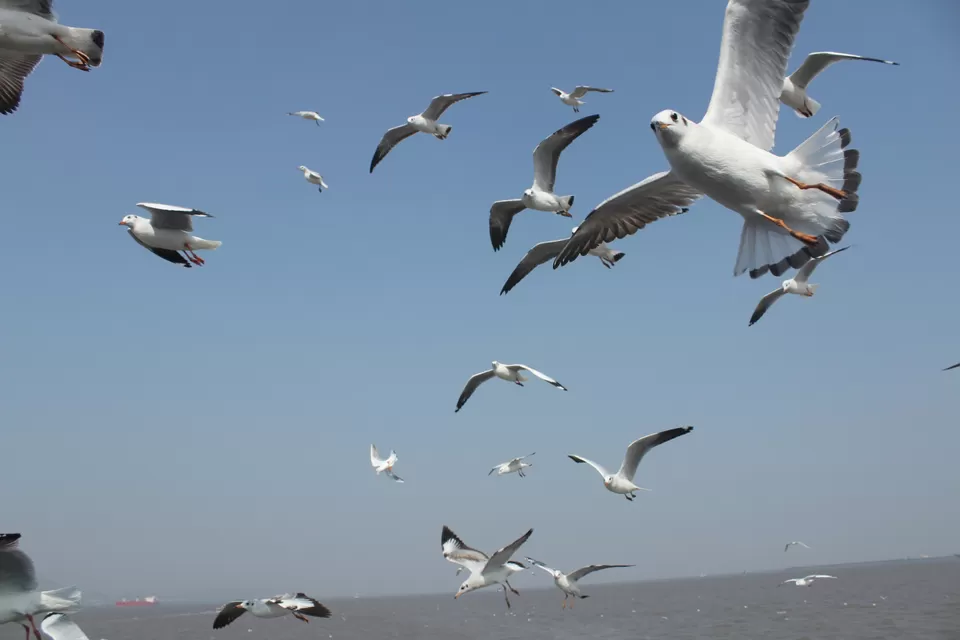Photo of Arabian Sea by Abhishek Khamari