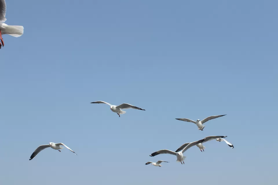 Photo of Arabian Sea by Abhishek Khamari