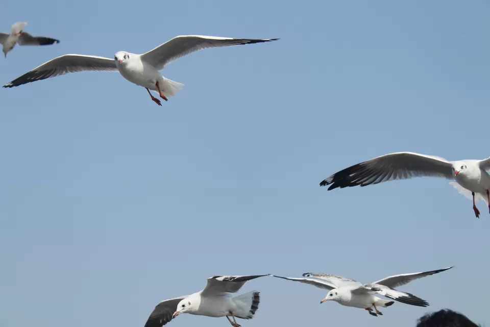 Photo of Arabian Sea by Abhishek Khamari