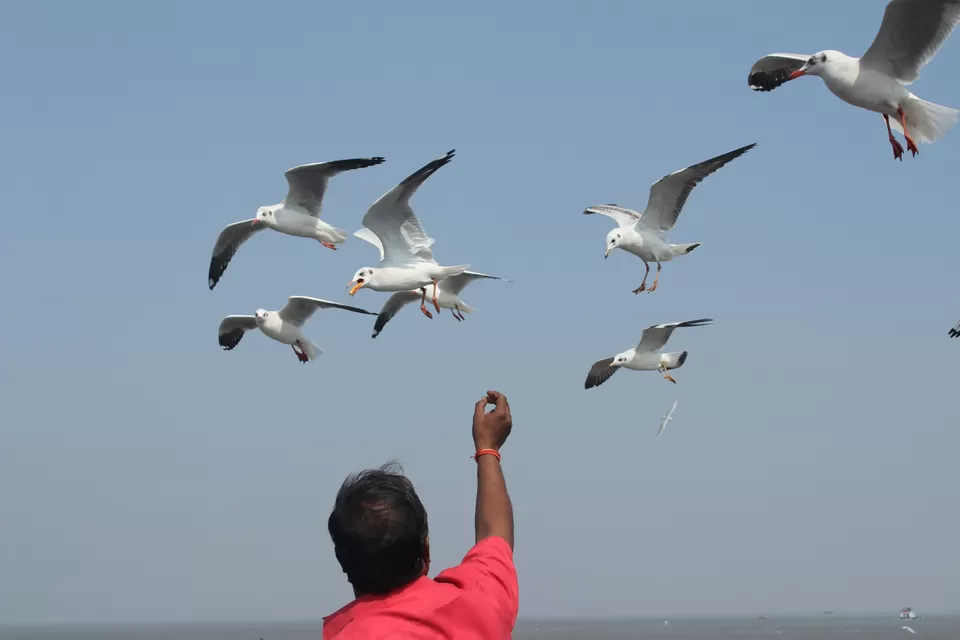 Photo of Arabian Sea by Abhishek Khamari