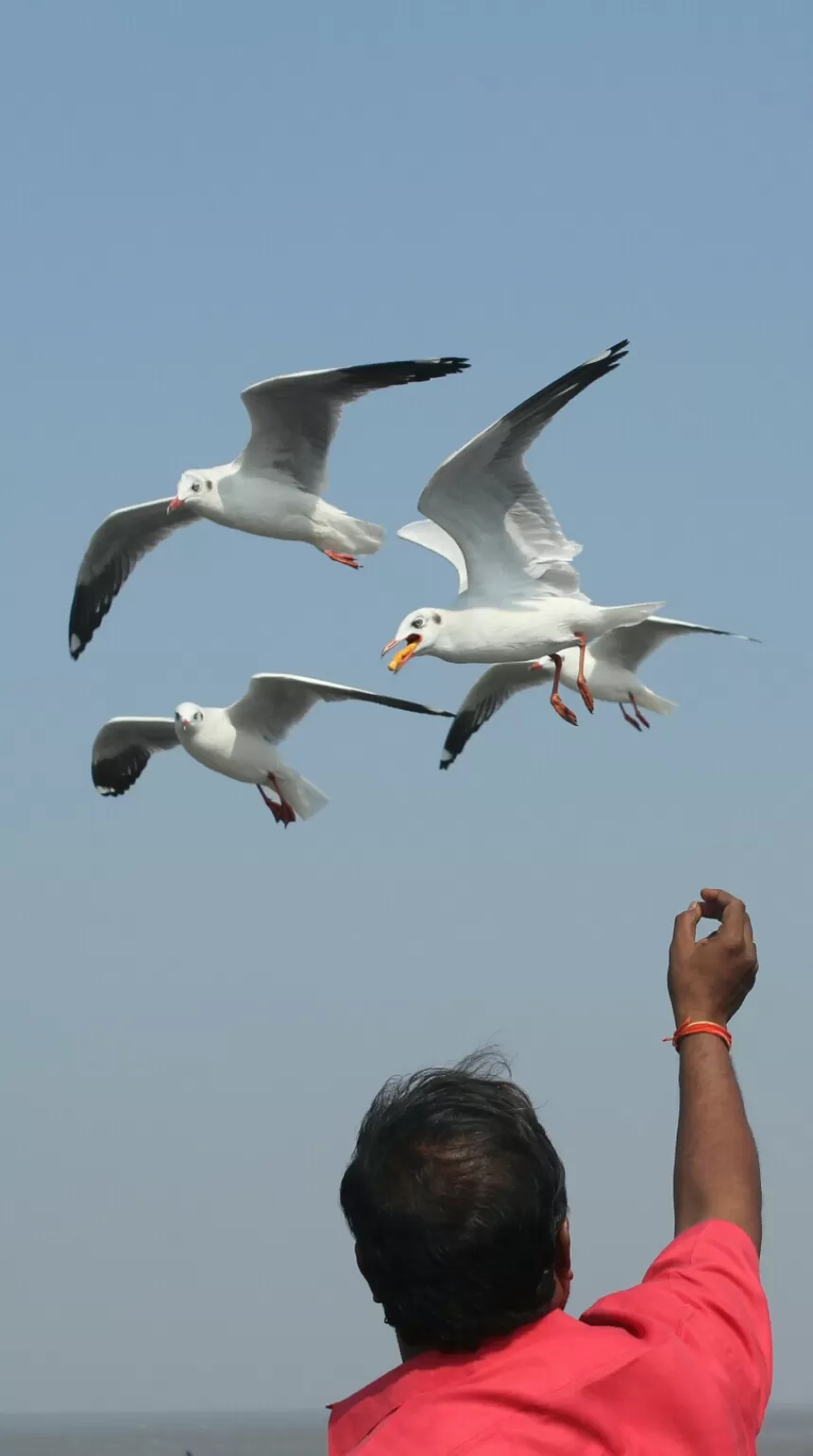 Photo of Arabian Sea by Abhishek Khamari