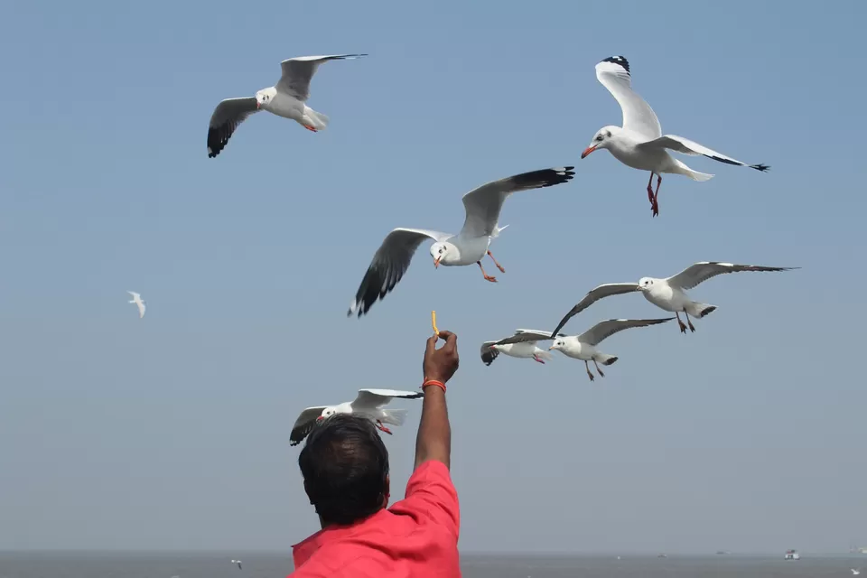 Photo of Arabian Sea by Abhishek Khamari