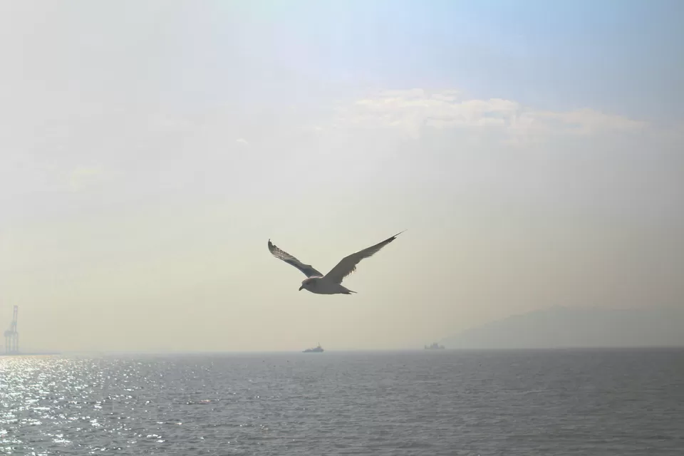 Photo of Arabian Sea by Abhishek Khamari