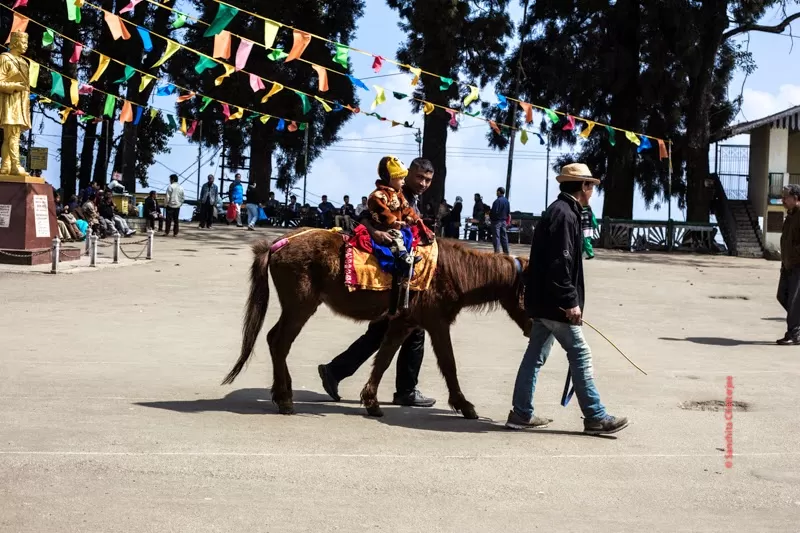 Photo of Darjeeling, West Bengal, India by Sanchita C