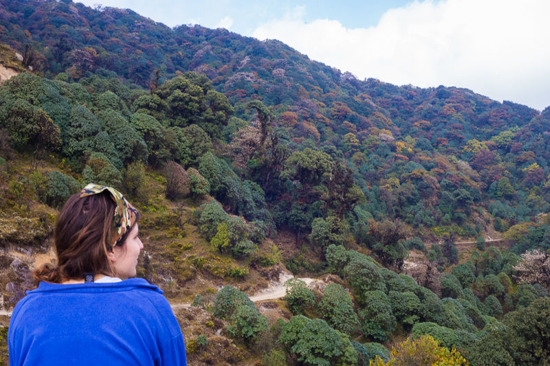 Photo of Himalayan Autumn Colours 1/4 by Sanchita C
