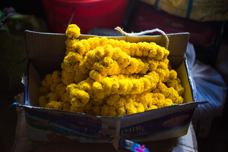 Photo of Himalayan Autumn Colours 4/4 by Sanchita C