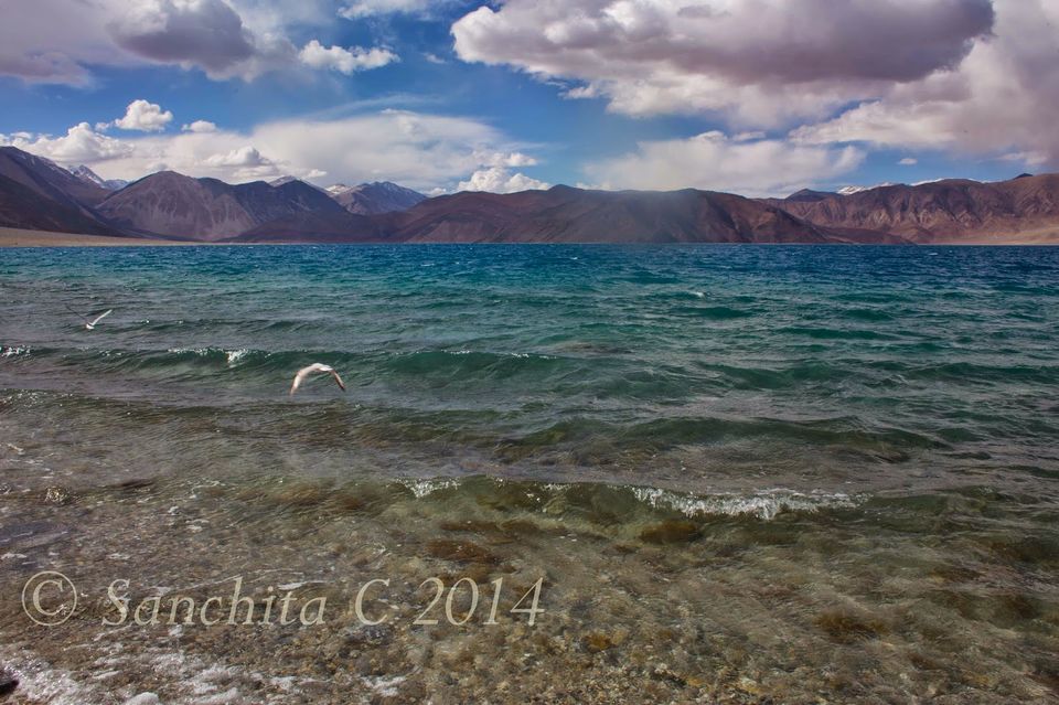 Photo of Ladakh Diary 4/5 by Sanchita C