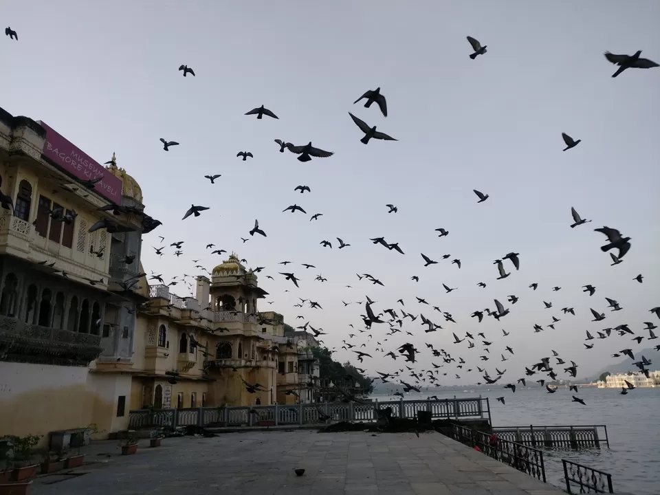 Photo of Lake Pichola, Lake Pichola, Pichola, Udaipur, Rajasthan 313001 by Frodo of Shire