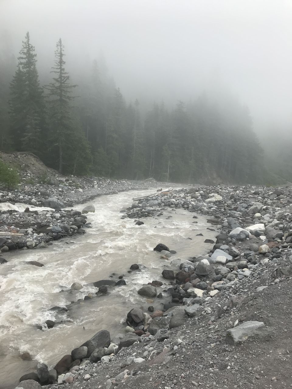 Photo of Mount Rainier, Washington, USA by Frodo of Shire