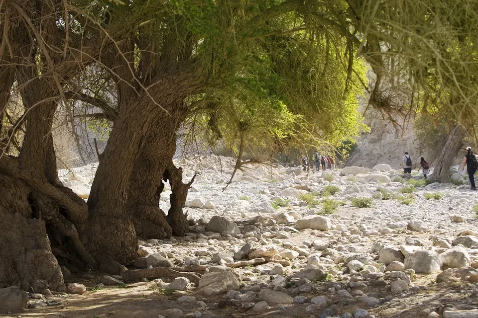 Photo of Wadi Naqab Trail hiking Ras al khaima UAE - Jan 25 2019 by Mohammed Shafi