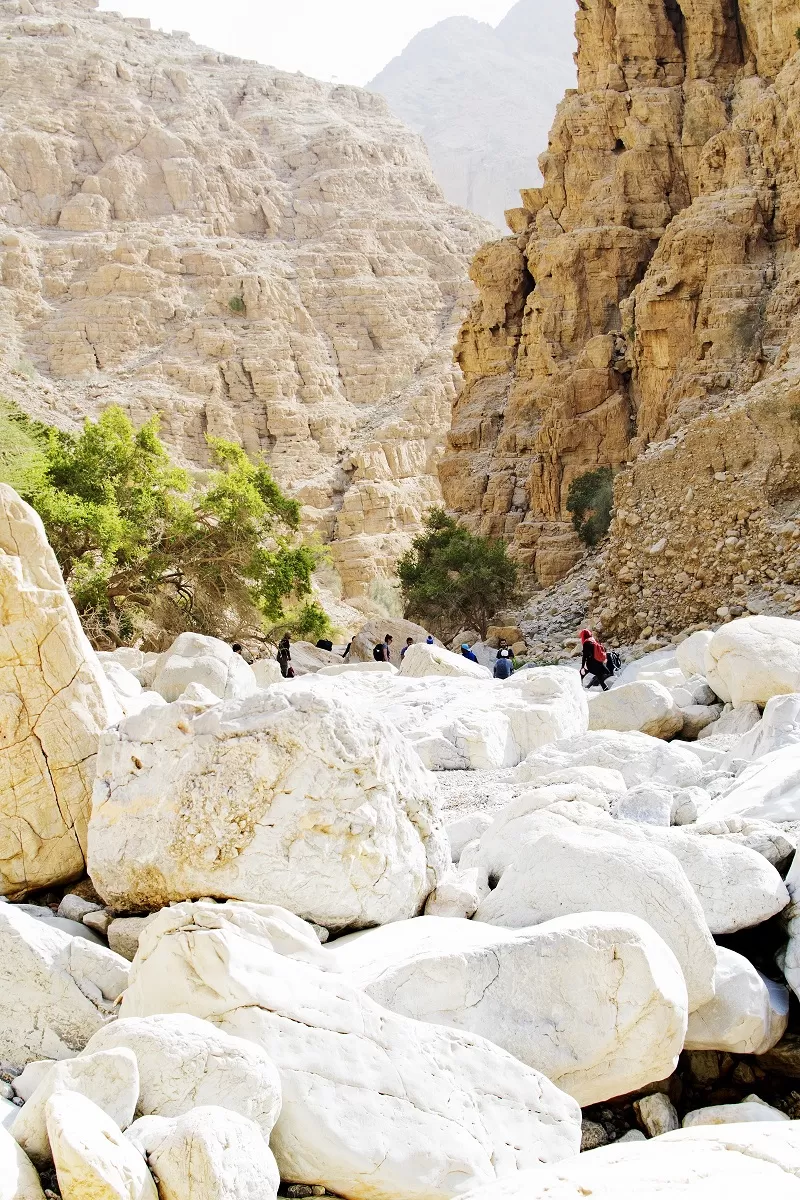 Photo of Wadi Naqab Trail hiking Ras al khaima UAE - Jan 25 2019 by Mohammed Shafi