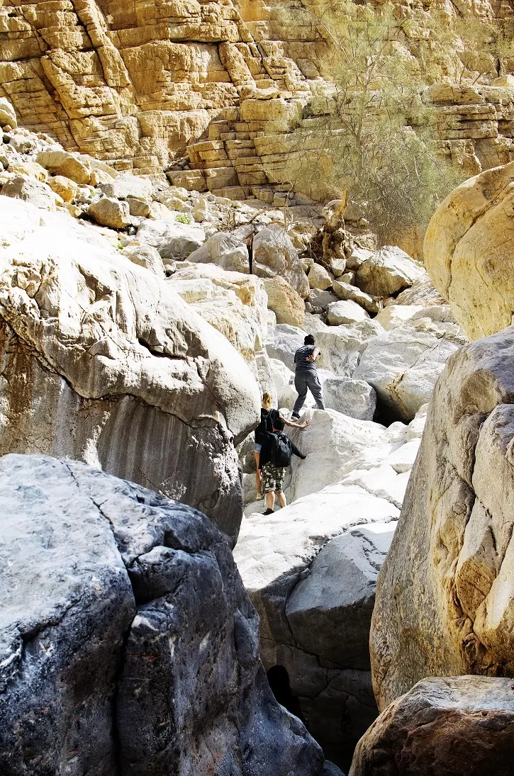Photo of Wadi Naqab Trail hiking Ras al khaima UAE - Jan 25 2019 by Mohammed Shafi