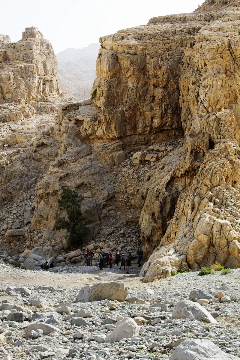 Photo of Wadi Naqab Trail hiking Ras al khaima UAE - Jan 25 2019 by Mohammed Shafi