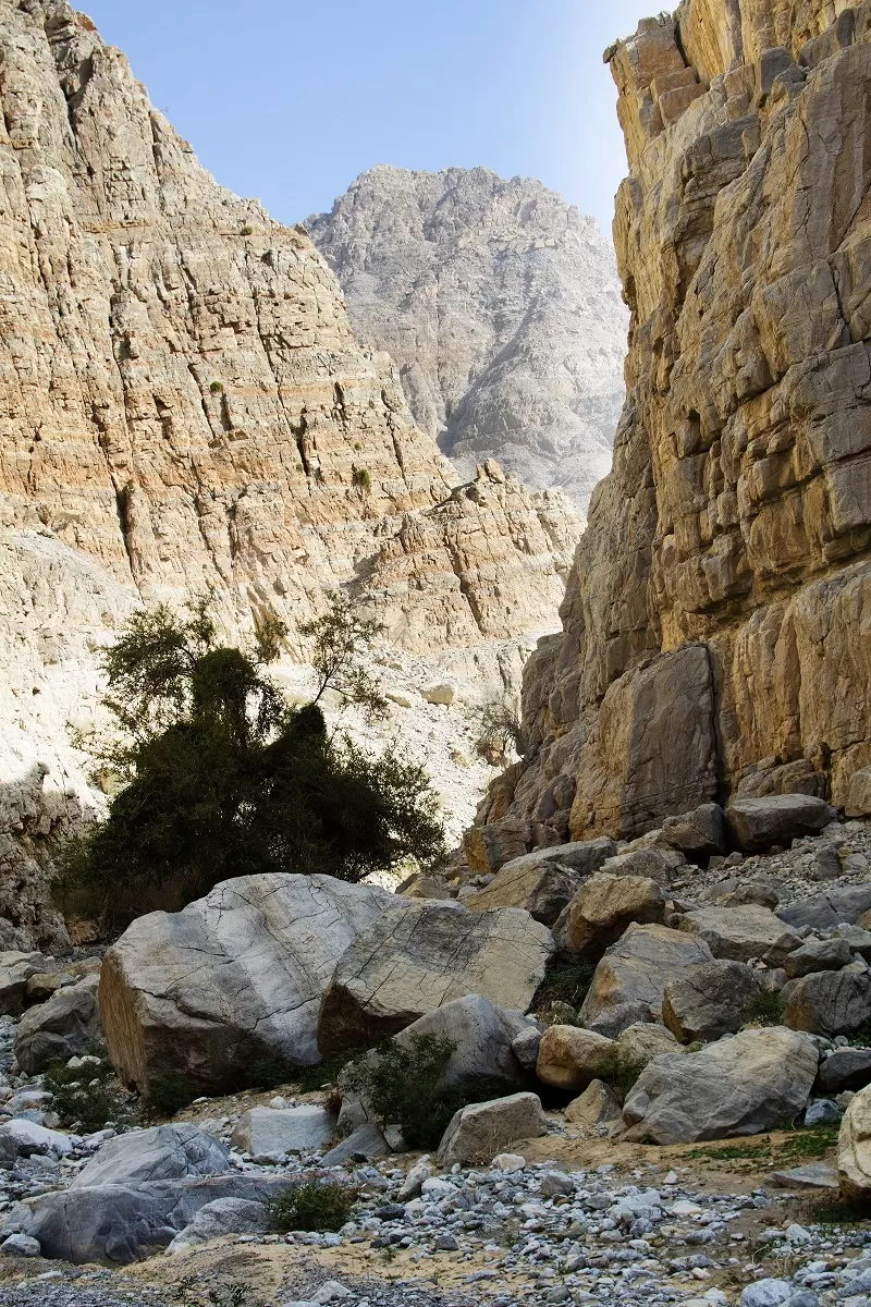 Photo of Wadi Naqab Trail hiking Ras al khaima UAE - Jan 25 2019 by Mohammed Shafi