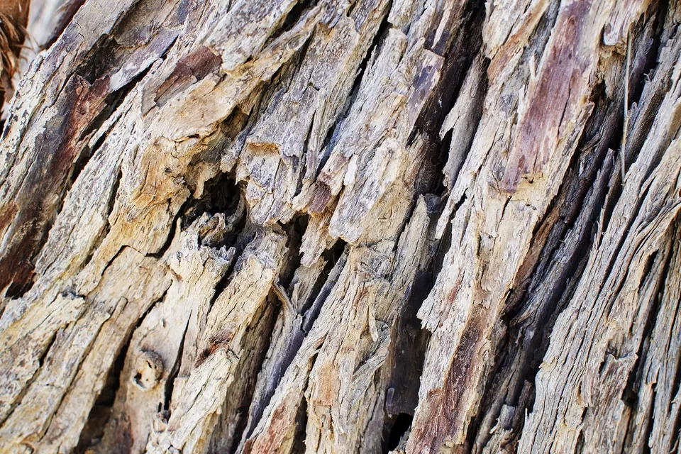 Photo of Wadi Naqab Trail hiking Ras al khaima UAE - Jan 25 2019 by Mohammed Shafi
