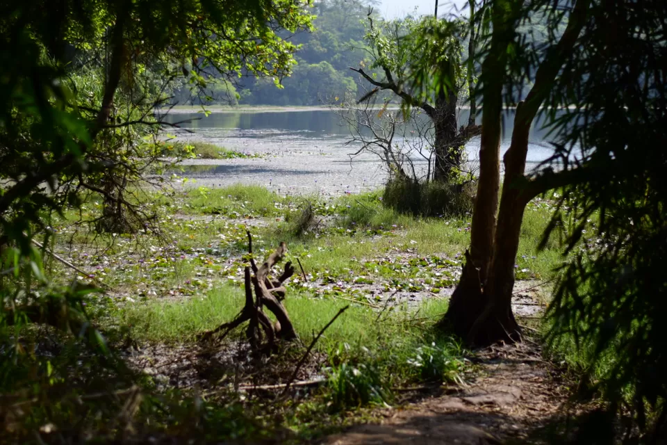 Photo of Pookode Lake, Pookode, Kerala by Mohammed Shafi