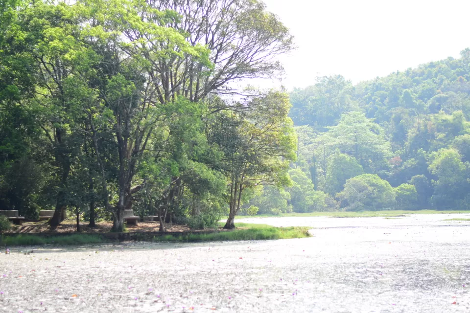 Photo of Pookode Lake, Pookode, Kerala by Mohammed Shafi