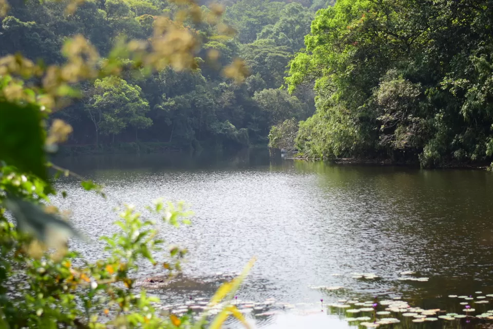 Photo of Pookode Lake, Pookode, Kerala by Mohammed Shafi