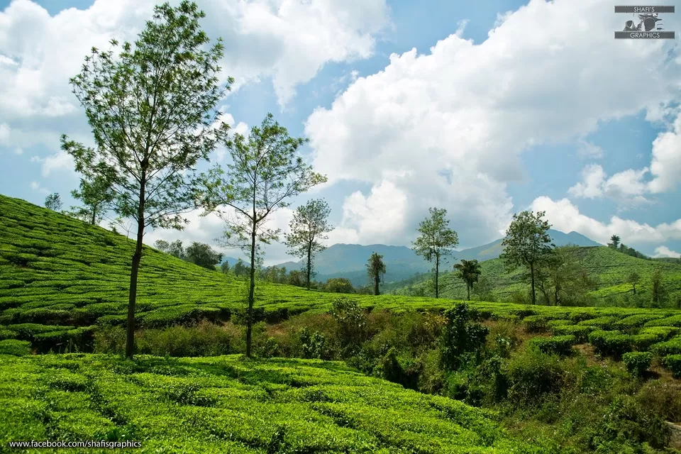 Photo of Meppadi, Kerala, India by Mohammed Shafi
