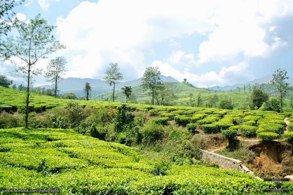 Photo of Meppadi, Kerala, India by Mohammed Shafi