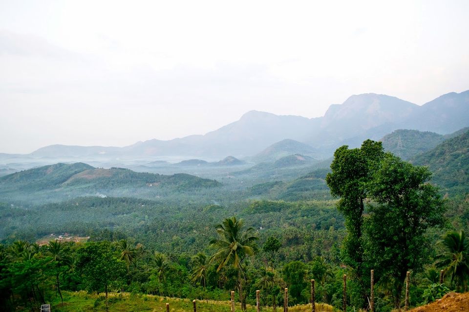 Photo of Through the roads of the western ghats - Wayanad 1/30 by Mohammed Shafit