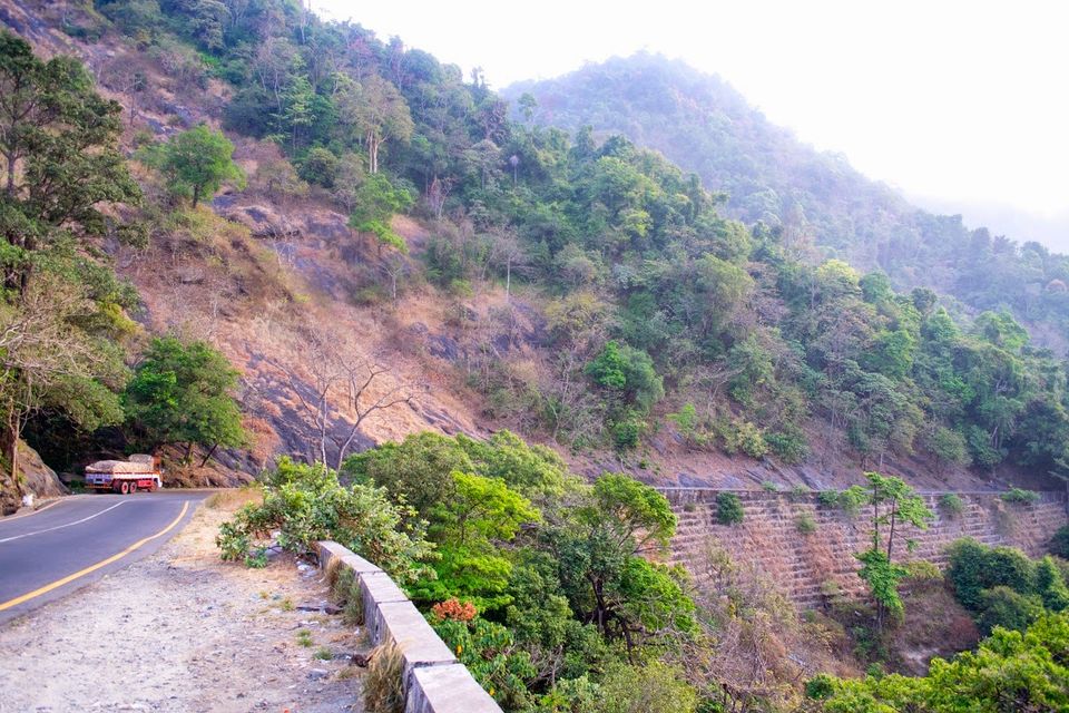 Photo of Through the roads of the western ghats - Wayanad 3/30 by Mohammed Shafit