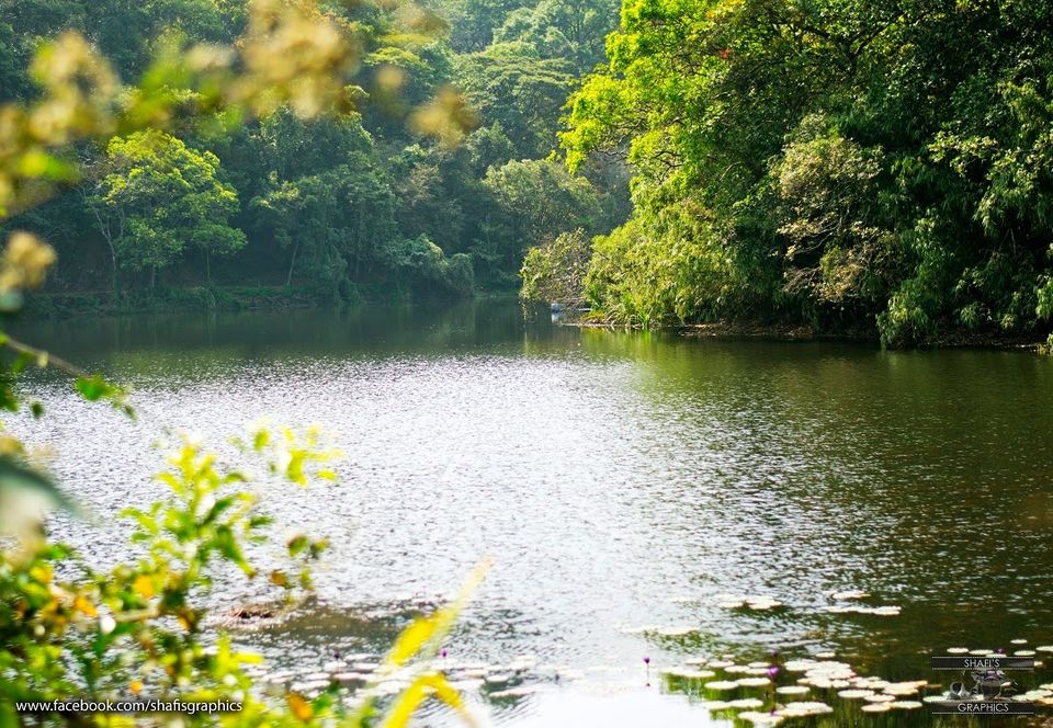 Photo of Through the roads of the western ghats - Wayanad 16/30 by Mohammed Shafit