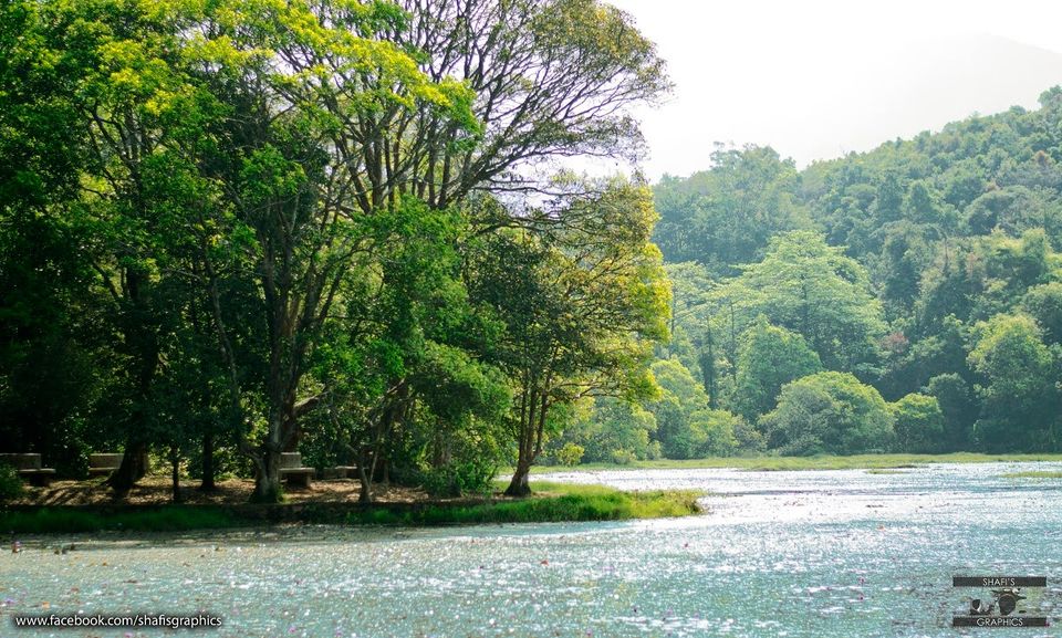 Photo of Through the roads of the western ghats - Wayanad 17/30 by Mohammed Shafit