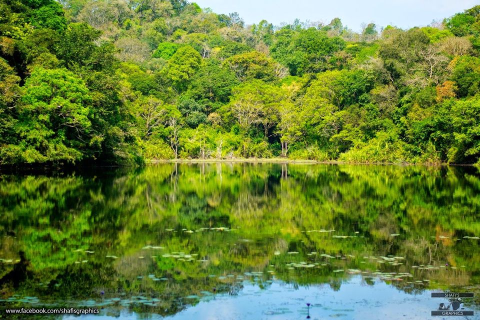 Photo of Through the roads of the western ghats - Wayanad 21/30 by Mohammed Shafit