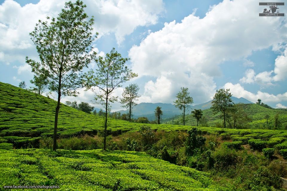 Photo of Through the roads of the western ghats - Wayanad 26/30 by Mohammed Shafit