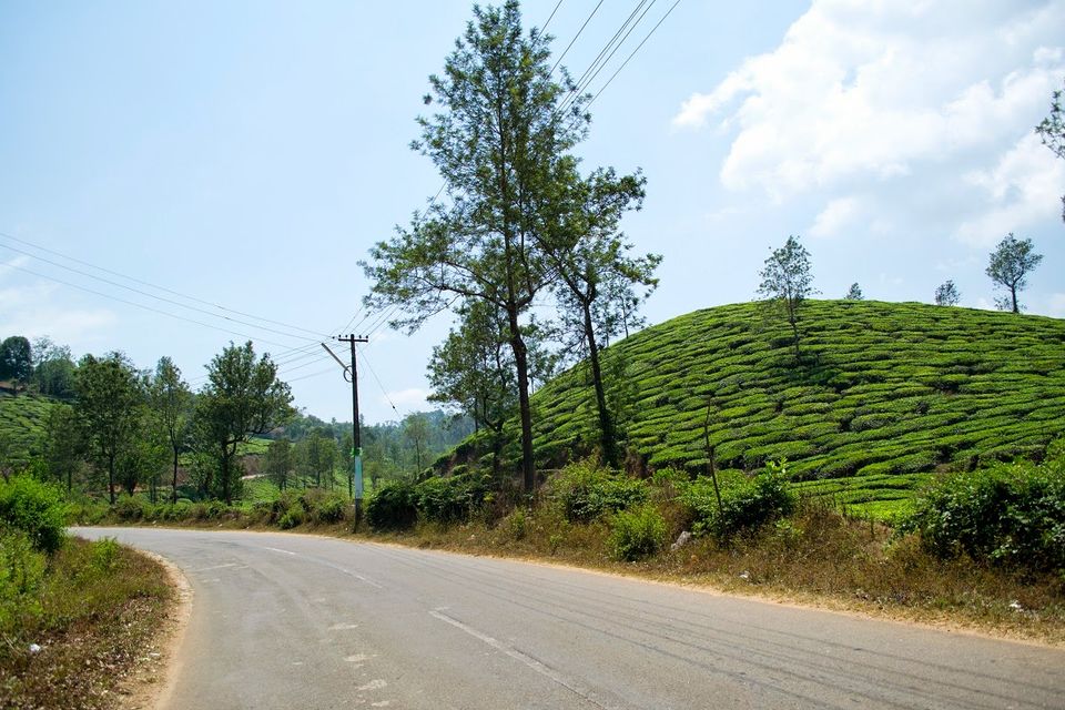 Photo of Through the roads of the western ghats - Wayanad 30/30 by Mohammed Shafit