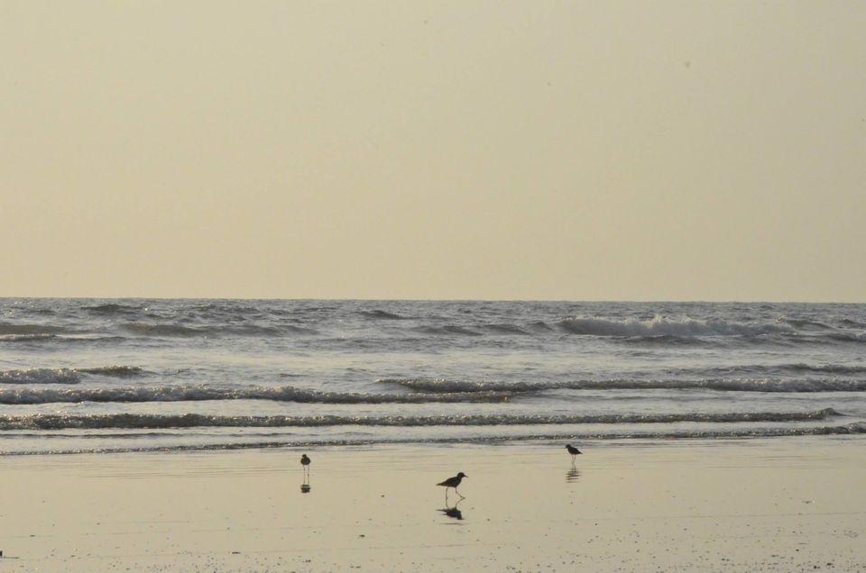 Photo of Muzhappilangad Beach by Vikas Chandra