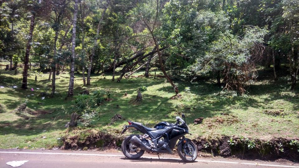 Photo of Solo Ride in TamilNadu 16/26 by Vikas Chandra