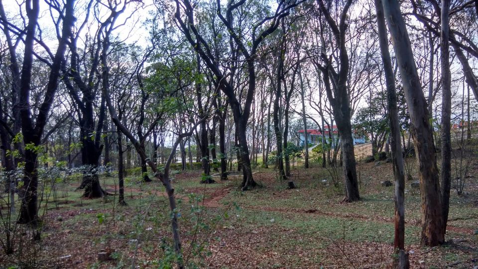 Photo of Andhra Ooty, A Day Trip 13/26 by Vikas Chandra