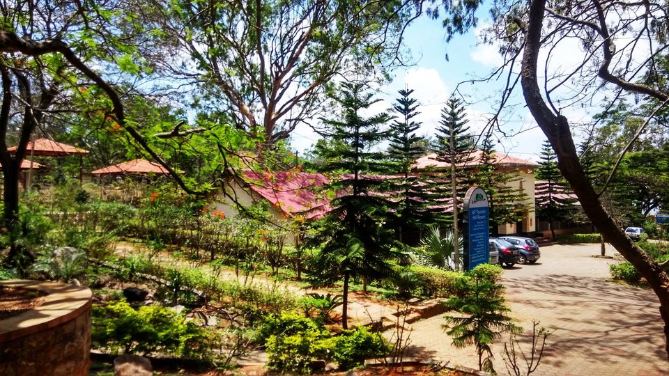 Photo of Andhra Ooty, A Day Trip 11/26 by Vikas Chandra