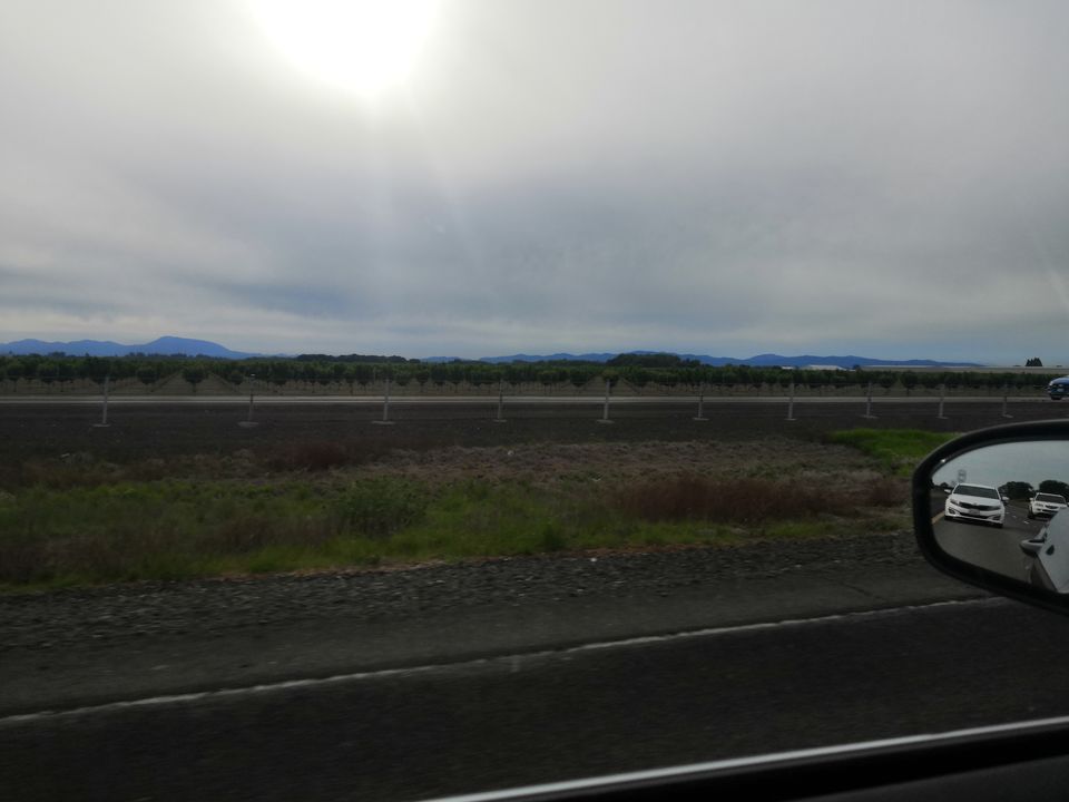 Photo of Solo Drive from San Mateo (San Francisco) to Seattle 4/4 by Vikas Chandra