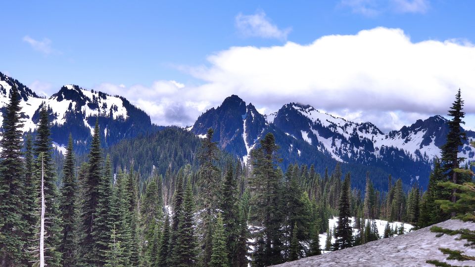Photo of Grand Tour of National Parks 3/7 by Vikas Chandra