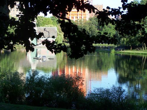 Photo of Central Park, New York, NY, United States by Ankita Misra