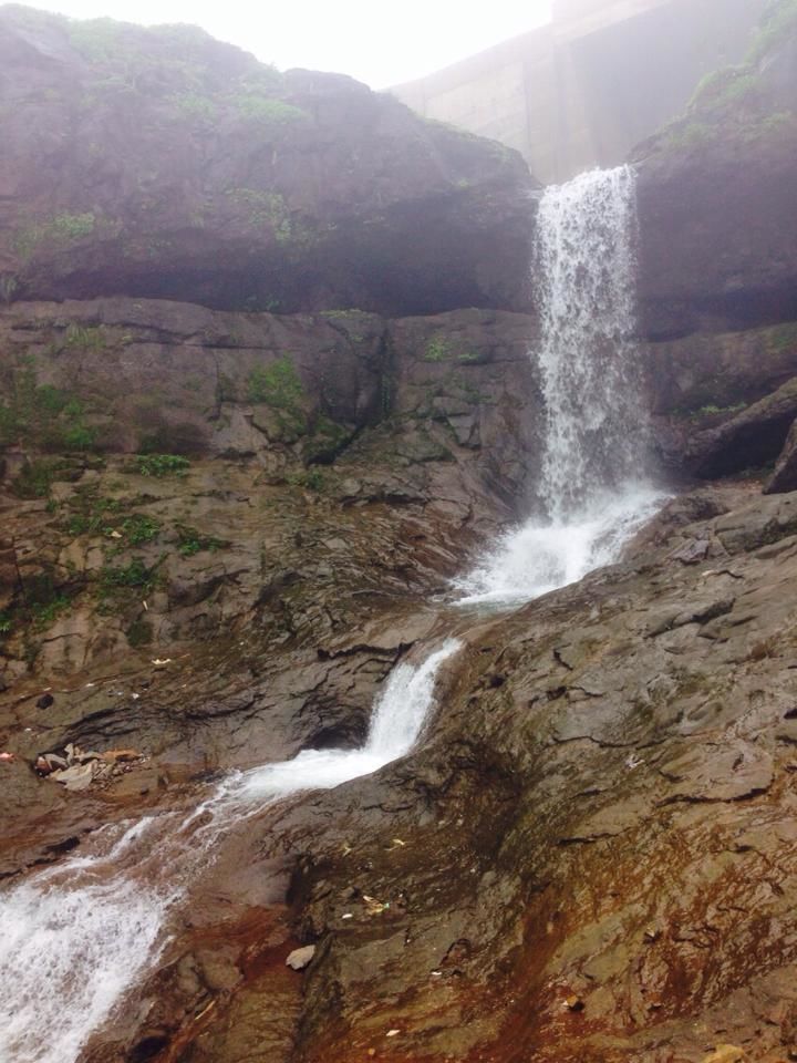 Photo of Luscious Lonavala 1/2 by Ankita Misra