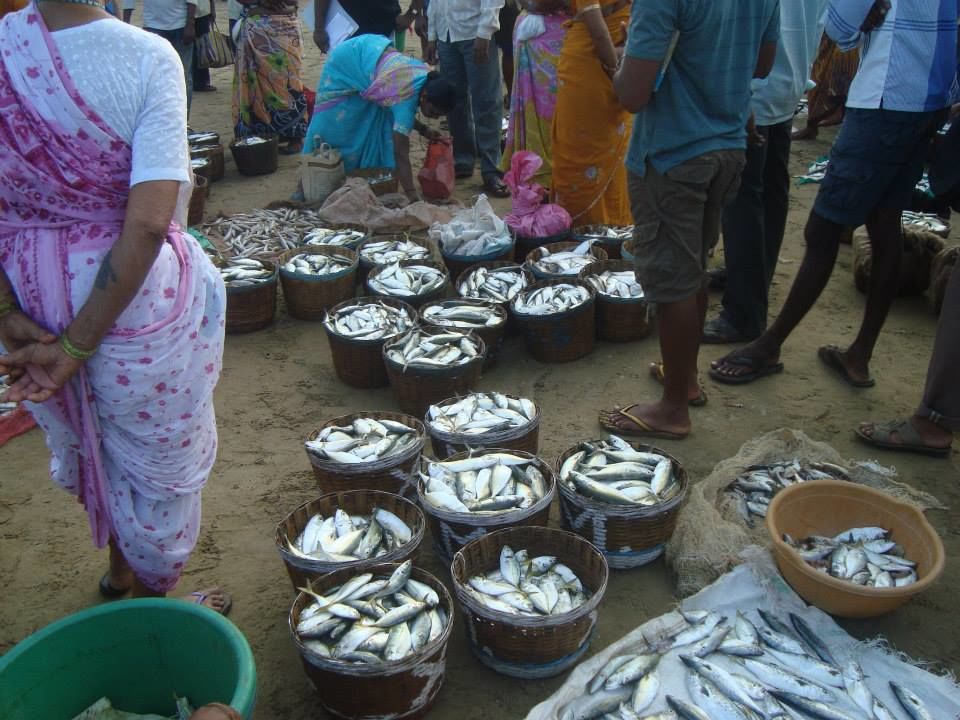 Photo of Taste of coastal curry @Konkan by SANDEEP
