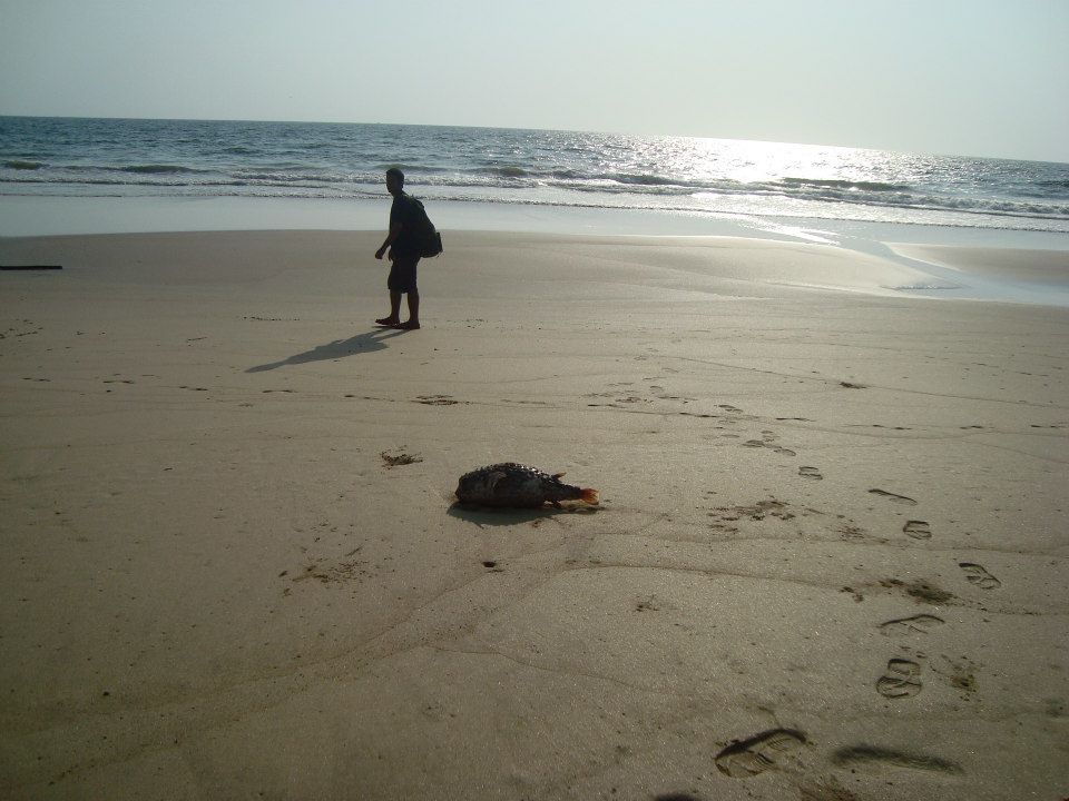Photo of Taste of coastal curry @Konkan by SANDEEP