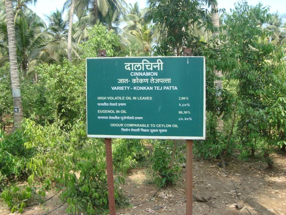 Photo of Taste of coastal curry @Konkan by SANDEEP